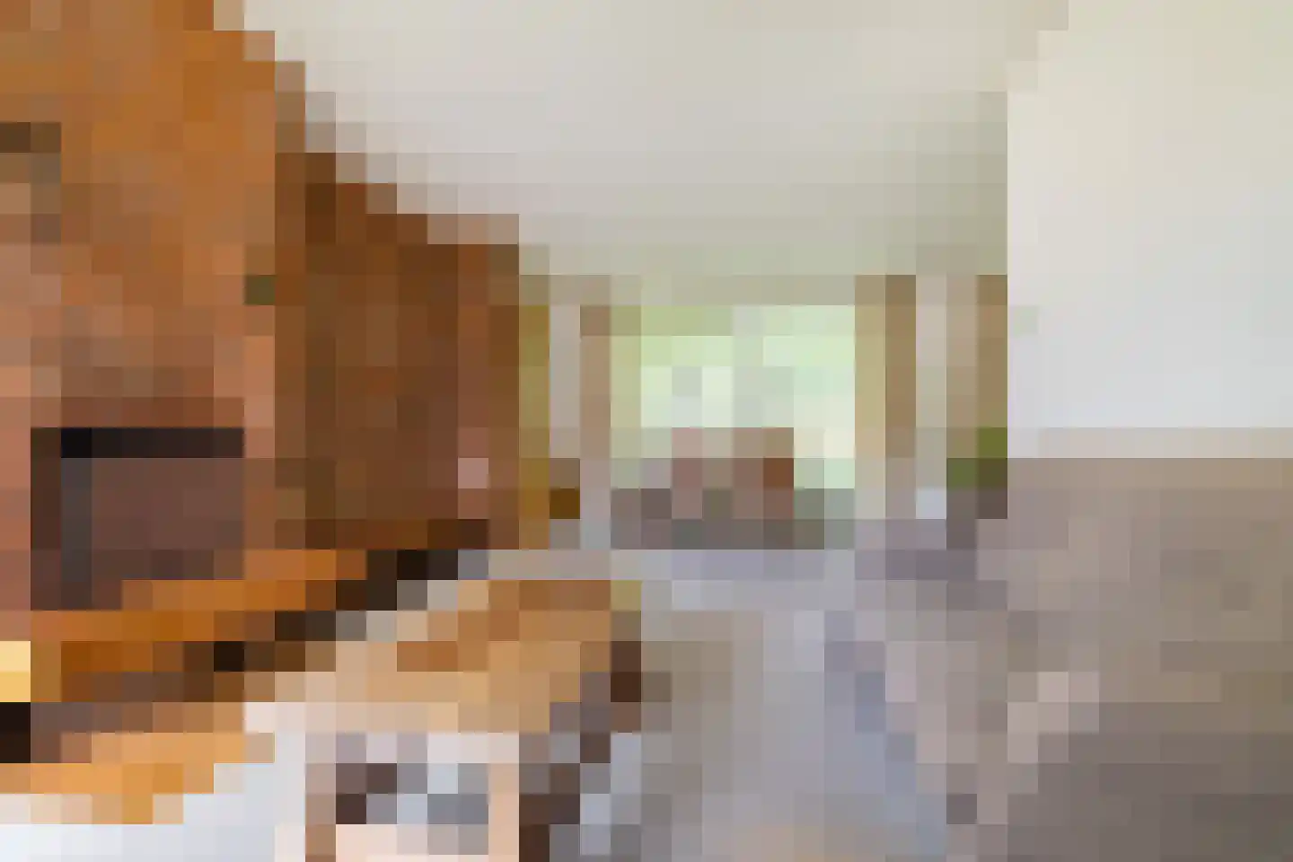 Dr.M. Noordewierstraat 44 Baflo thumbnail 14