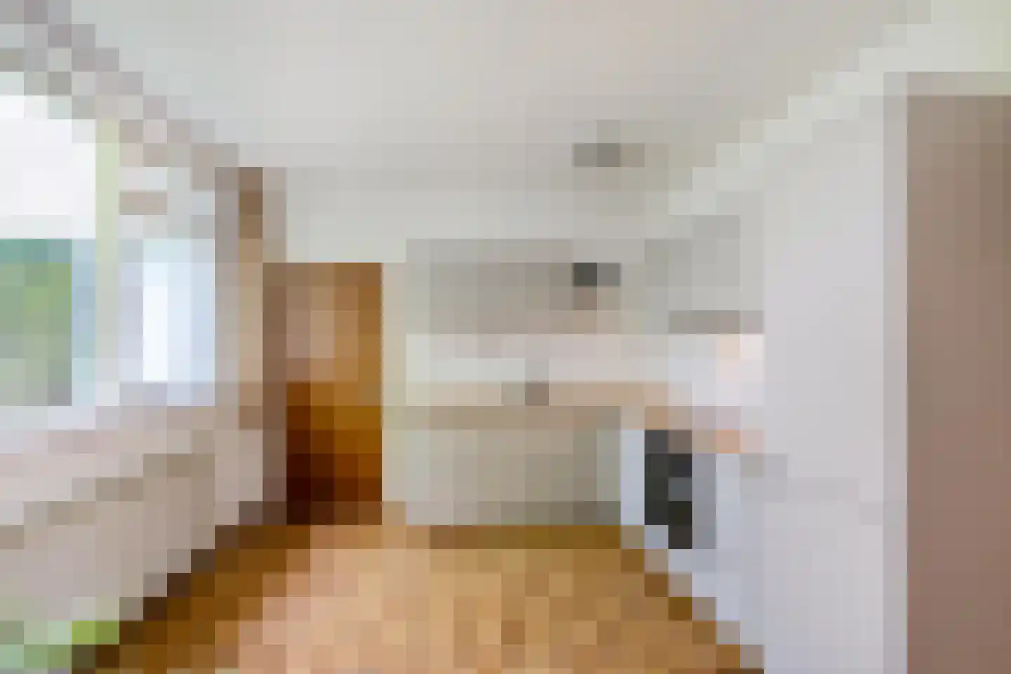Dr.M. Noordewierstraat 44 Baflo thumbnail 17