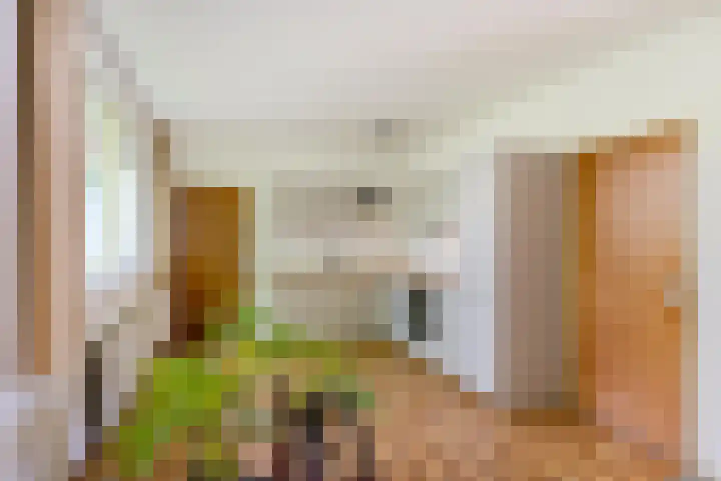 Dr.M. Noordewierstraat 44 Baflo thumbnail 18