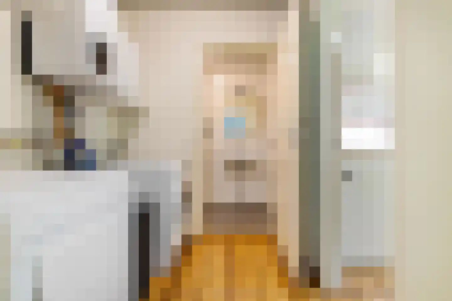Dr.M. Noordewierstraat 44 Baflo thumbnail 20