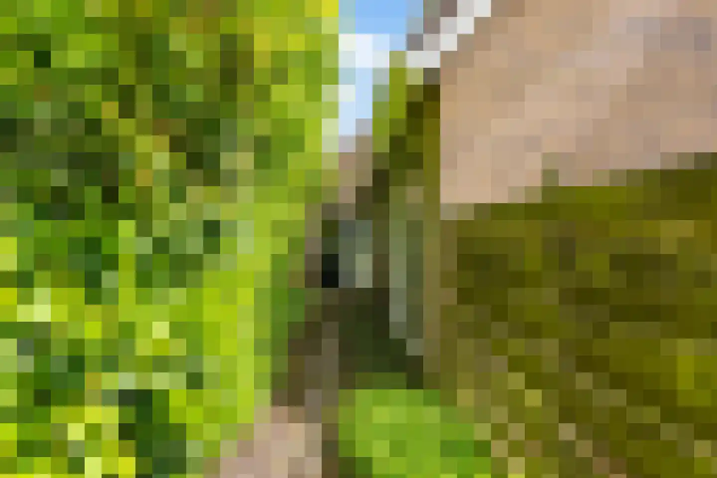 Dr.M. Noordewierstraat 44 Baflo thumbnail 6