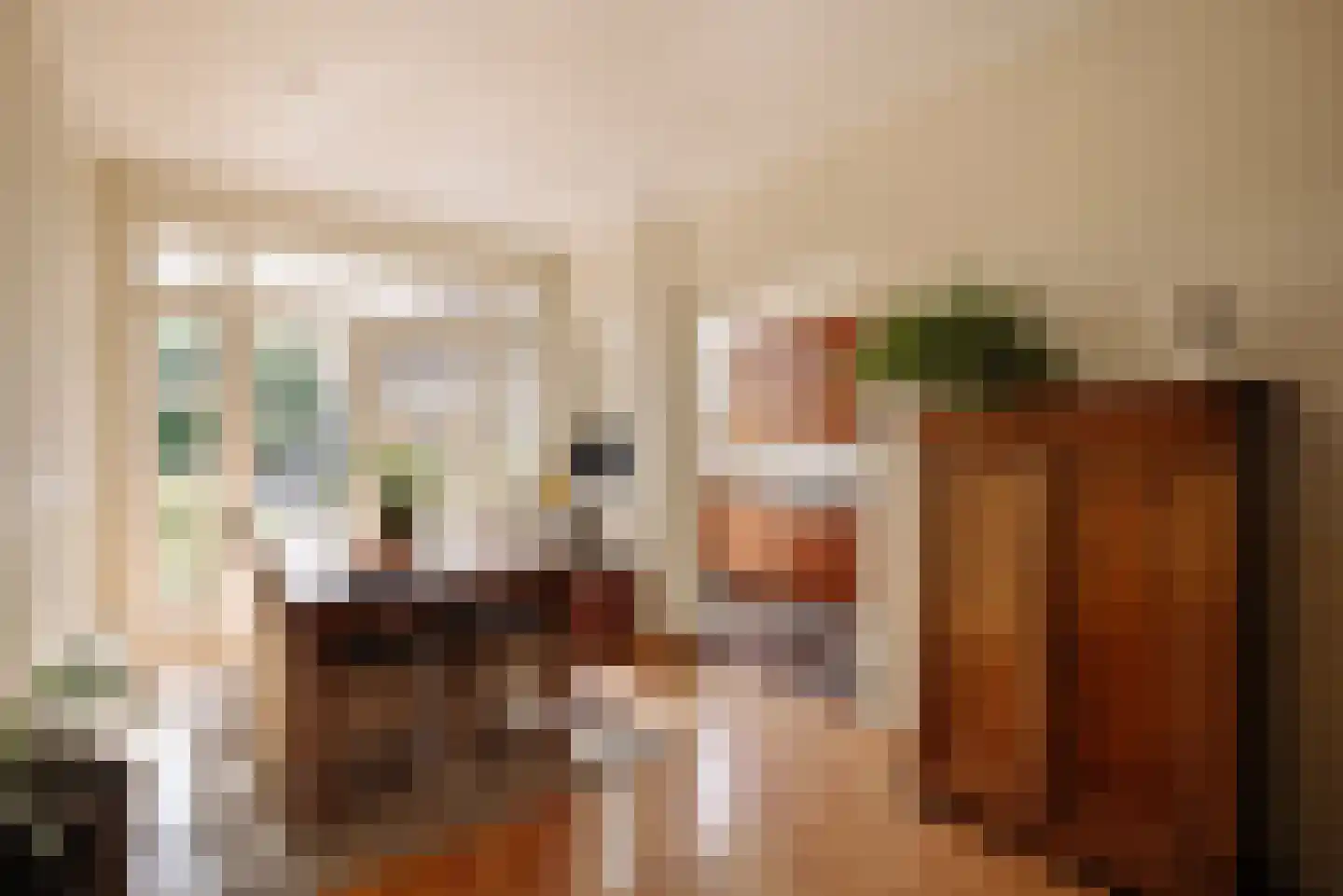 Dr. Mansveltkade 20 Wassenaar thumbnail 12