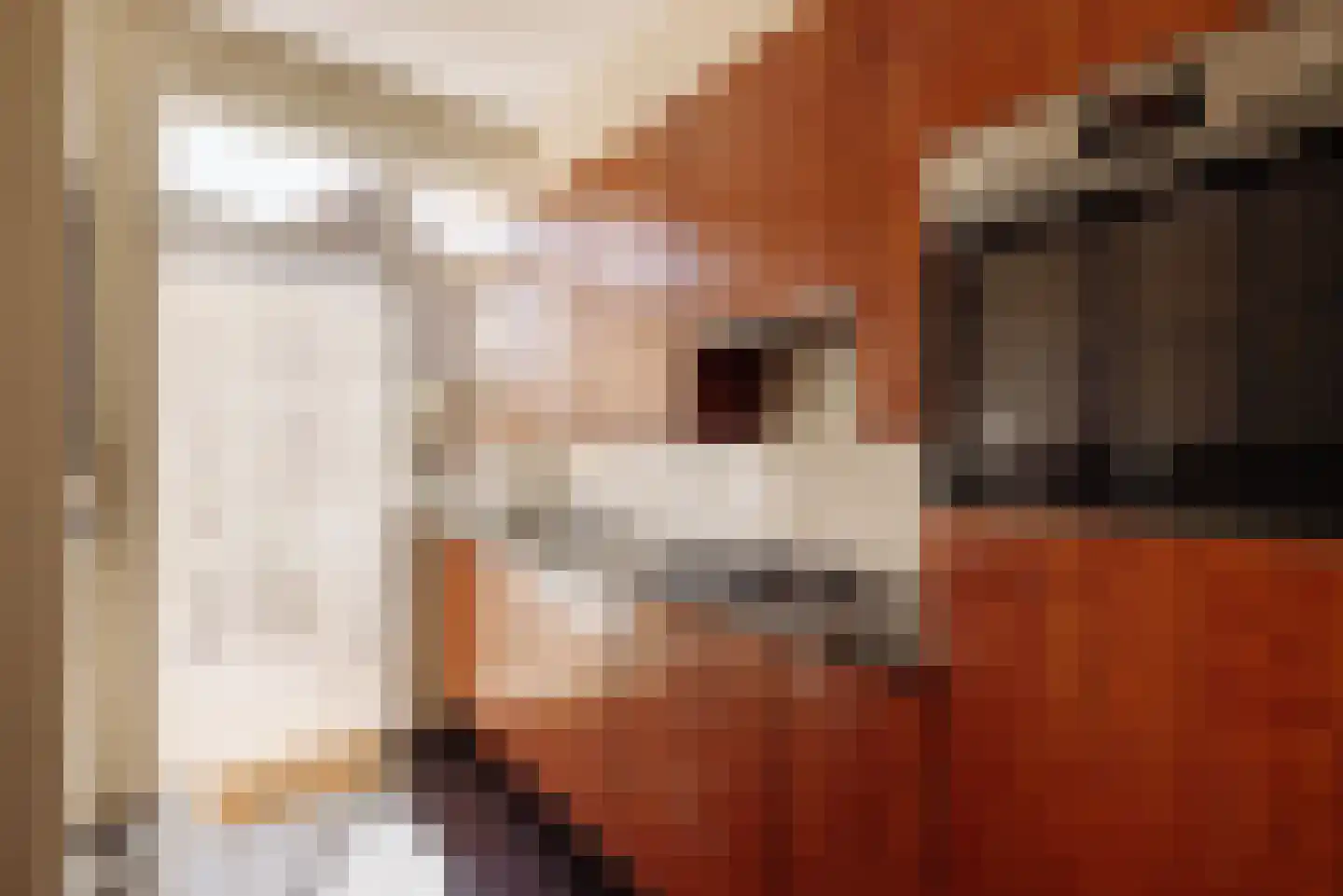Dr. Mansveltkade 20 Wassenaar thumbnail 13