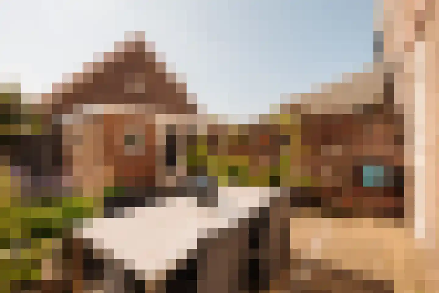Dr. Mansveltkade 20 Wassenaar thumbnail 17