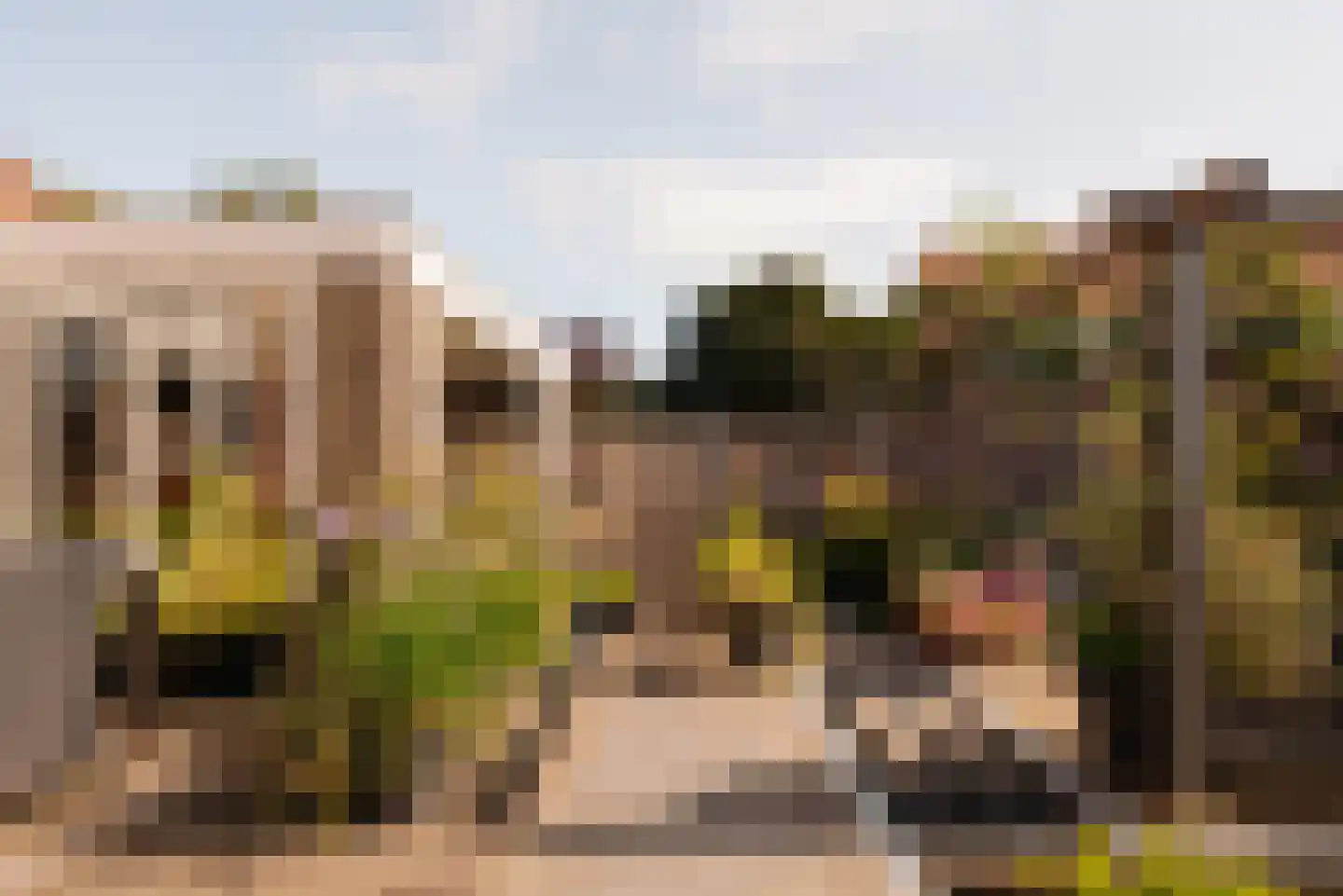 Dr. Mansveltkade 20 Wassenaar thumbnail 18