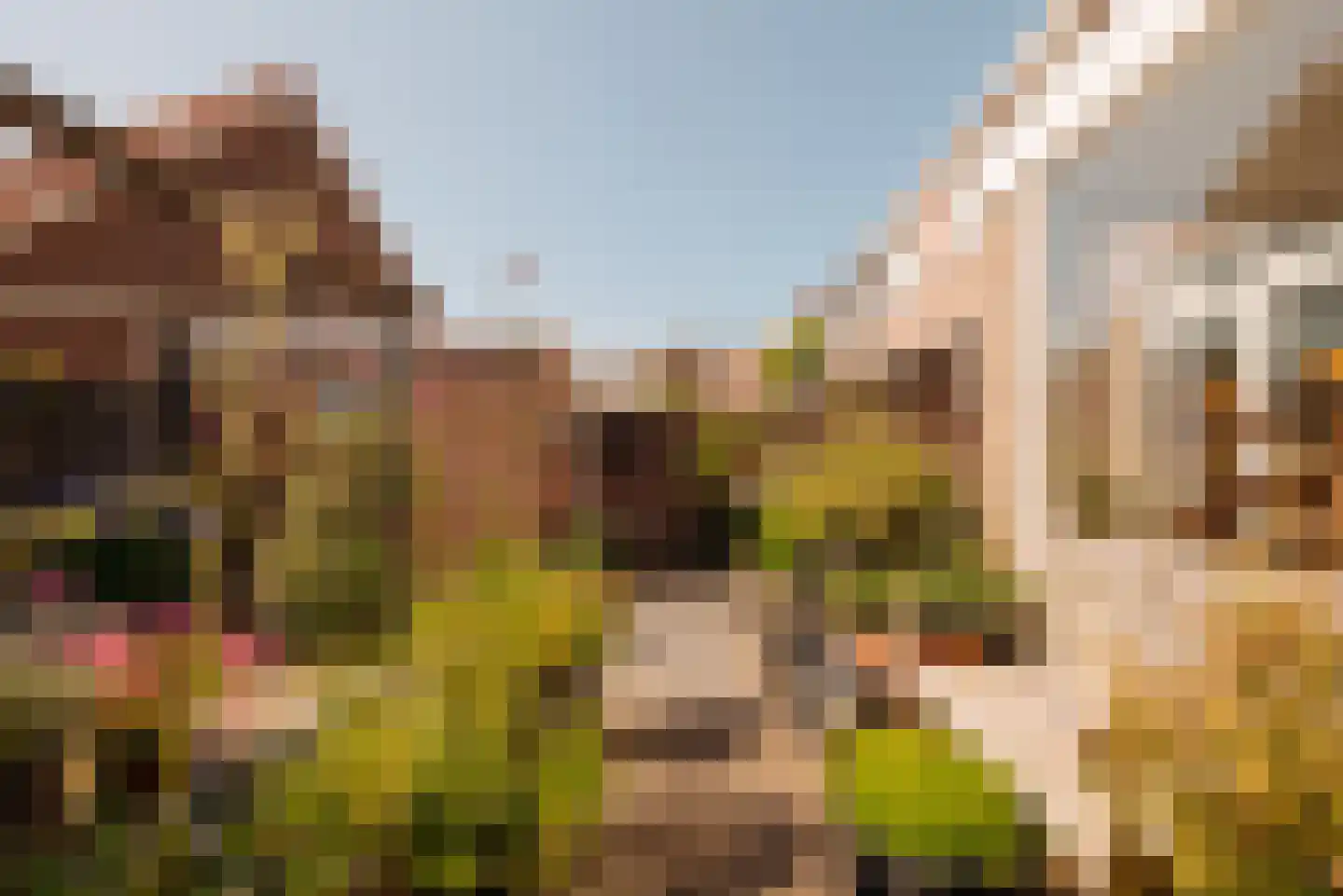 Dr. Mansveltkade 20 Wassenaar thumbnail 19