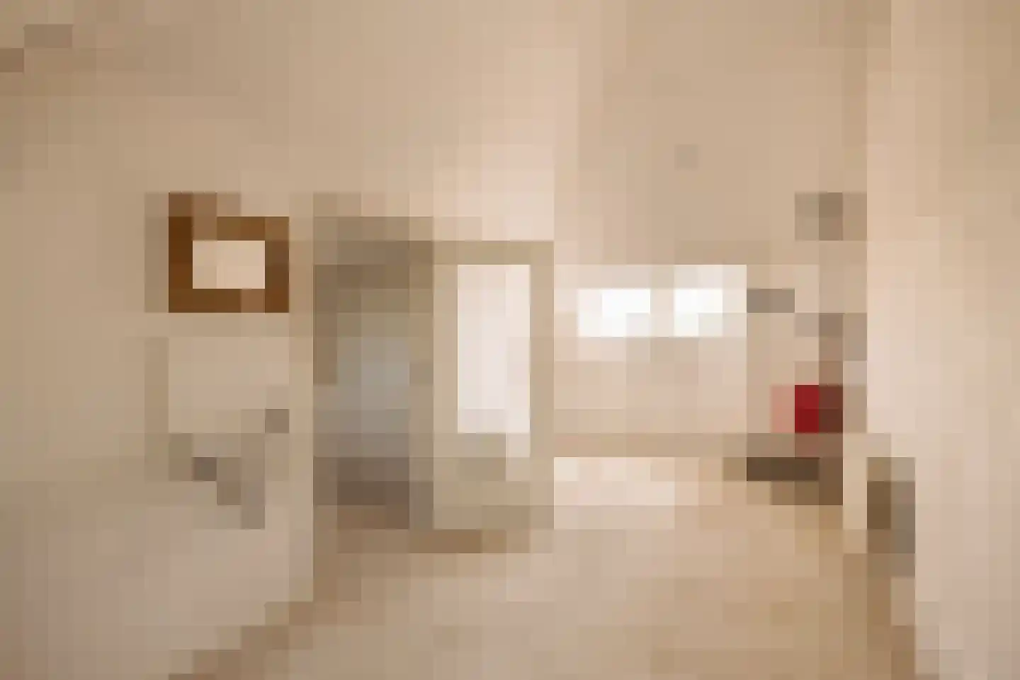 Dr. Mansveltkade 20 Wassenaar thumbnail 34