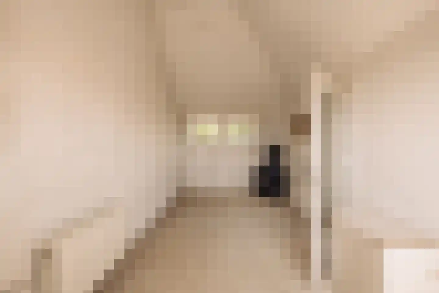Dr. Mansveltkade 20 Wassenaar thumbnail 35