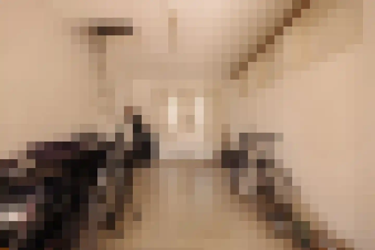 Dr. Mansveltkade 20 Wassenaar thumbnail 36