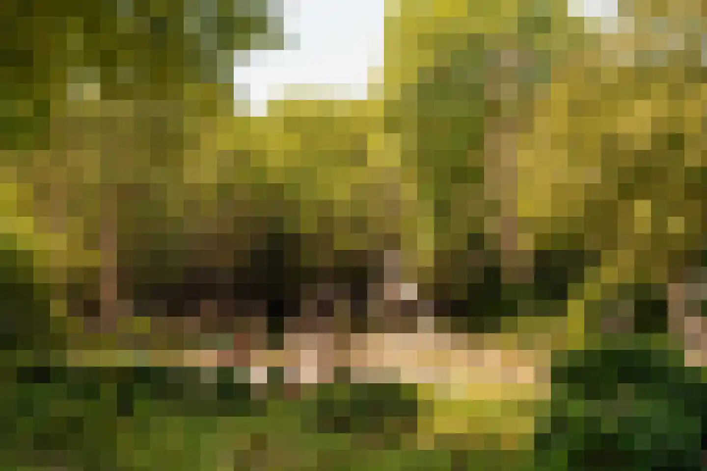 Dr. Mansveltkade 20 Wassenaar thumbnail 37