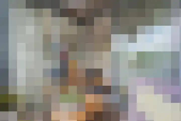 Dr. Max Euwestraat 16 Utrecht thumbnail 20