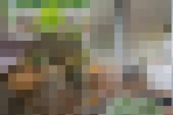 Dr. Max Euwestraat 16 Utrecht thumbnail 21
