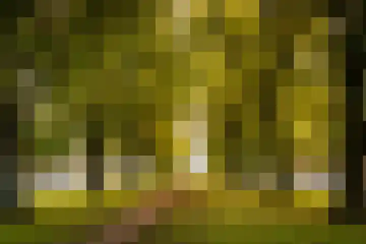 Dr. Max Euwestraat 16 Utrecht thumbnail 43