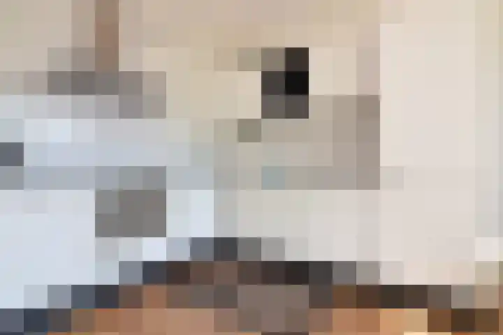 Dr. Max Euwestraat 4 Utrecht thumbnail 7