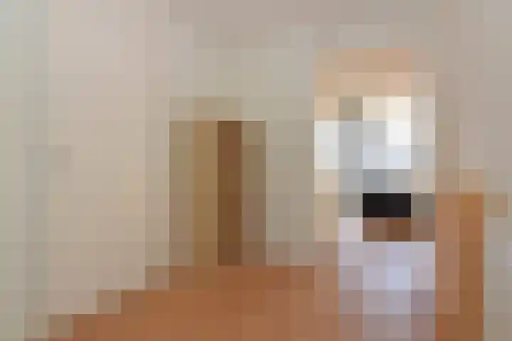 Dr. Max Euwestraat 4 Utrecht thumbnail 8