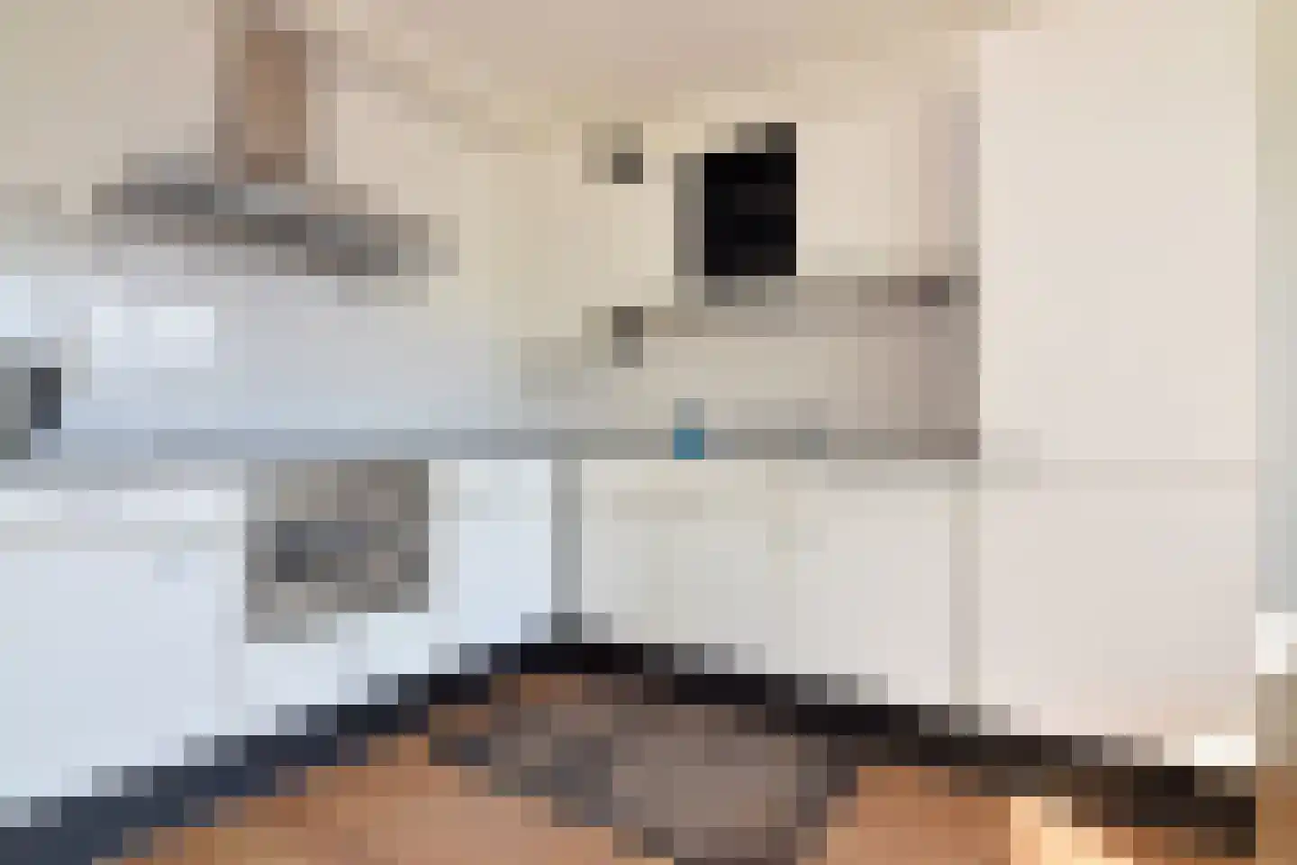 Dr. Max Euwestraat 4 Utrecht thumbnail 9
