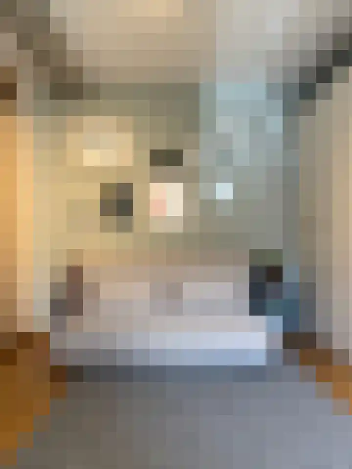 Dr. Max Euwestraat 42 Utrecht thumbnail 13