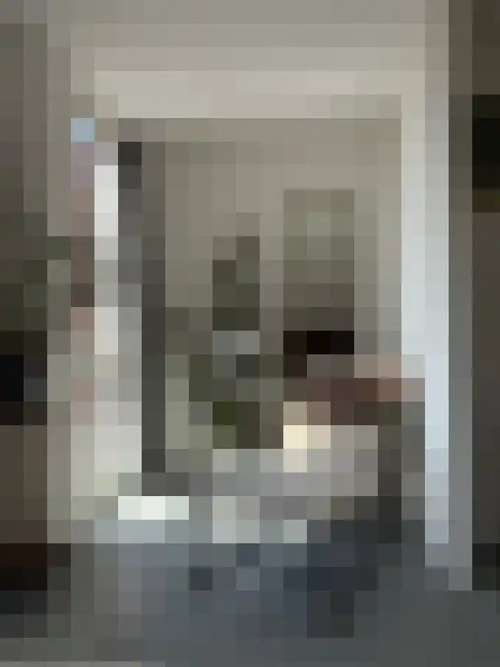 Dr. Max Euwestraat 42 Utrecht thumbnail 20