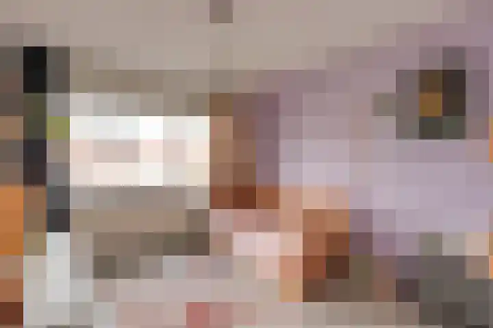 Dr. Max Euwestraat 42 Utrecht thumbnail 22