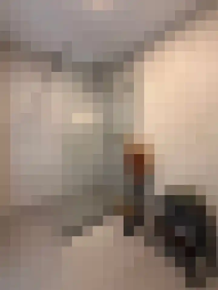 Dr. Max Euwestraat 42 Utrecht thumbnail 30