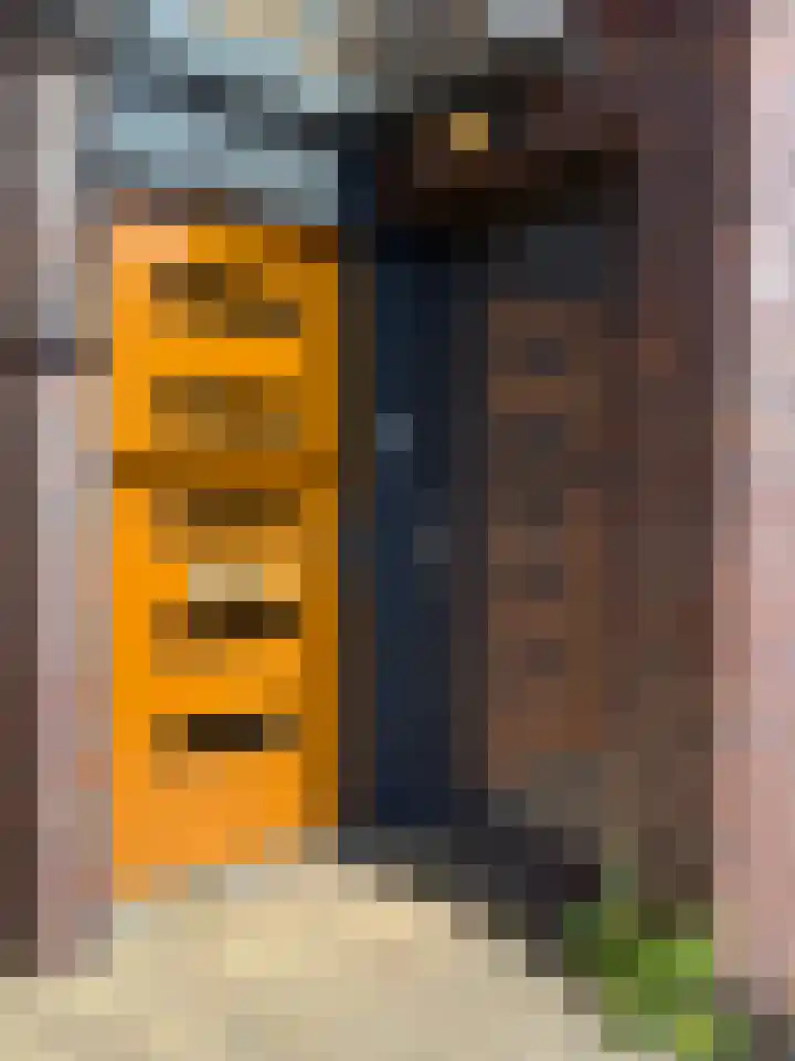 Dr. Max Euwestraat 42 Utrecht thumbnail 36