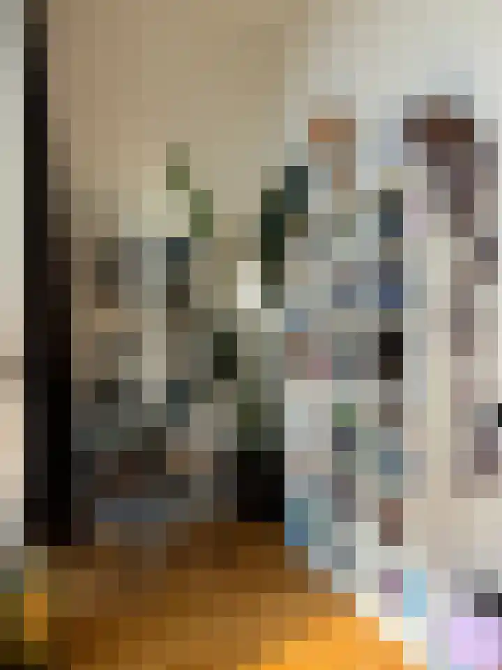 Dr. Max Euwestraat 42 Utrecht thumbnail 4