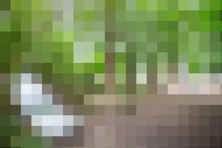 Dr. Max Euwestraat 42 Utrecht thumbnail 41