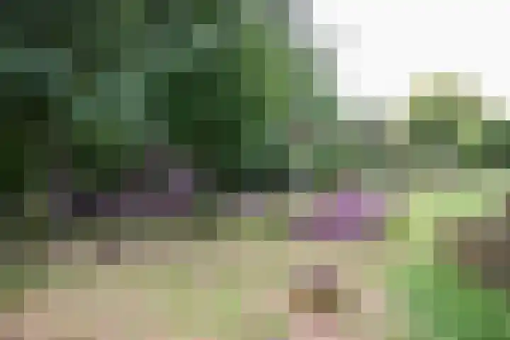 Dr. Max Euwestraat 42 Utrecht thumbnail 42