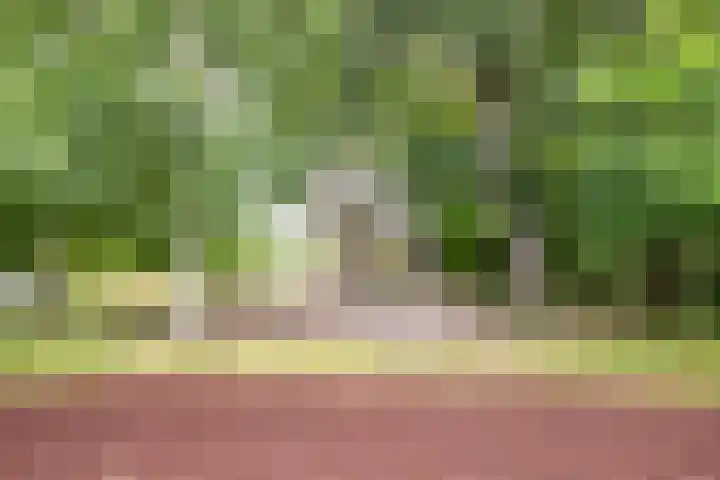Dr. Max Euwestraat 42 Utrecht thumbnail 43