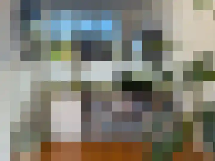 Dr. Max Euwestraat 42 Utrecht thumbnail 6