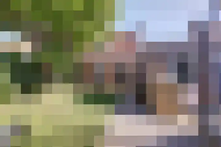 Dr. Mollerstraat 9 Etten-Leur thumbnail 4