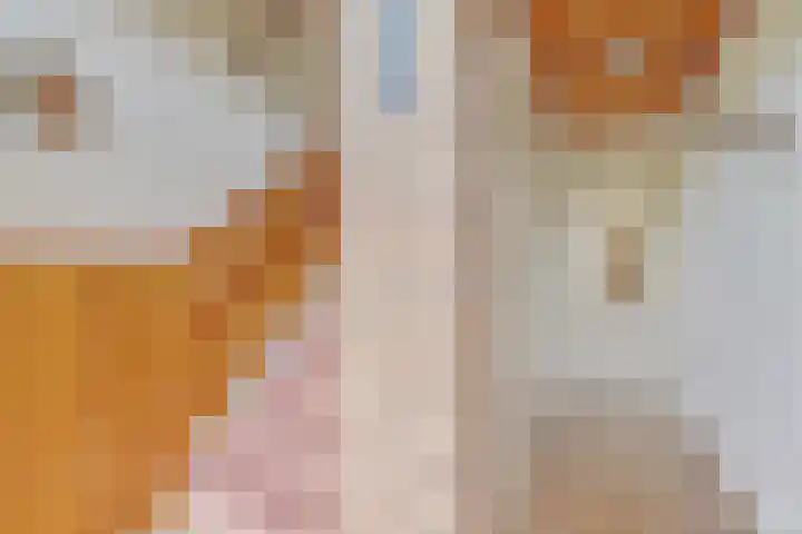 Dr Moonsweg 10 Beers NB thumbnail 13