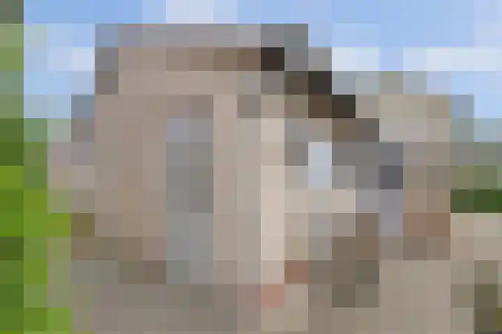 Dr Moonsweg 10 Beers NB thumbnail 35