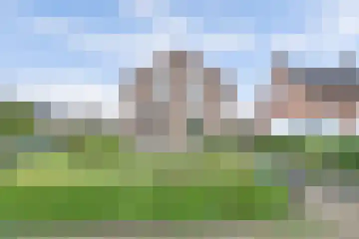 Dr Moonsweg 10 Beers NB thumbnail 5