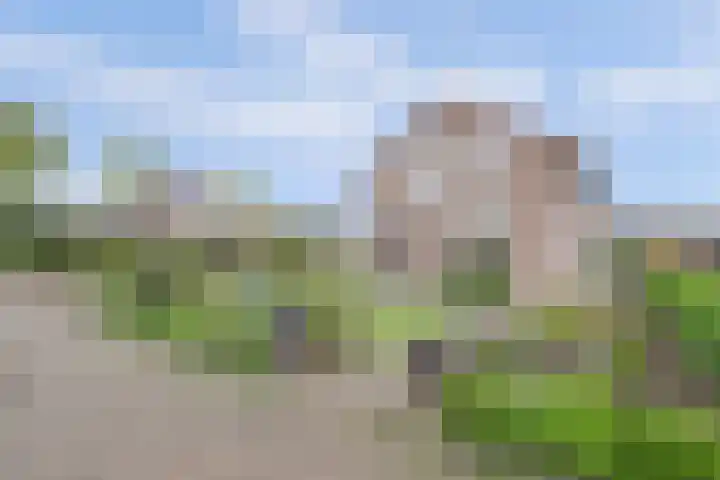 Dr Moonsweg 10 Beers NB thumbnail 6