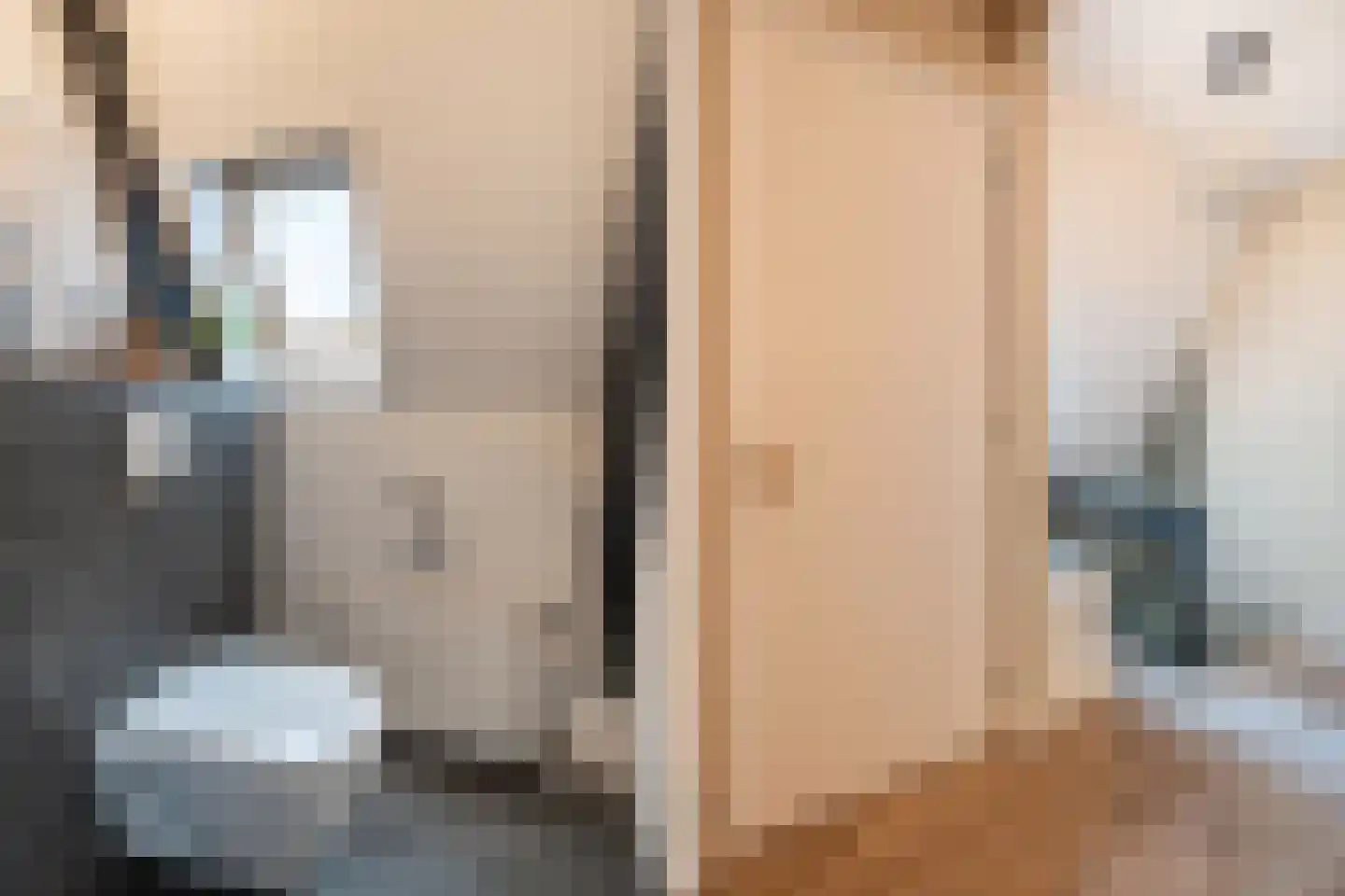 Dr.Mulderstraat 9 Noordwolde thumbnail 32