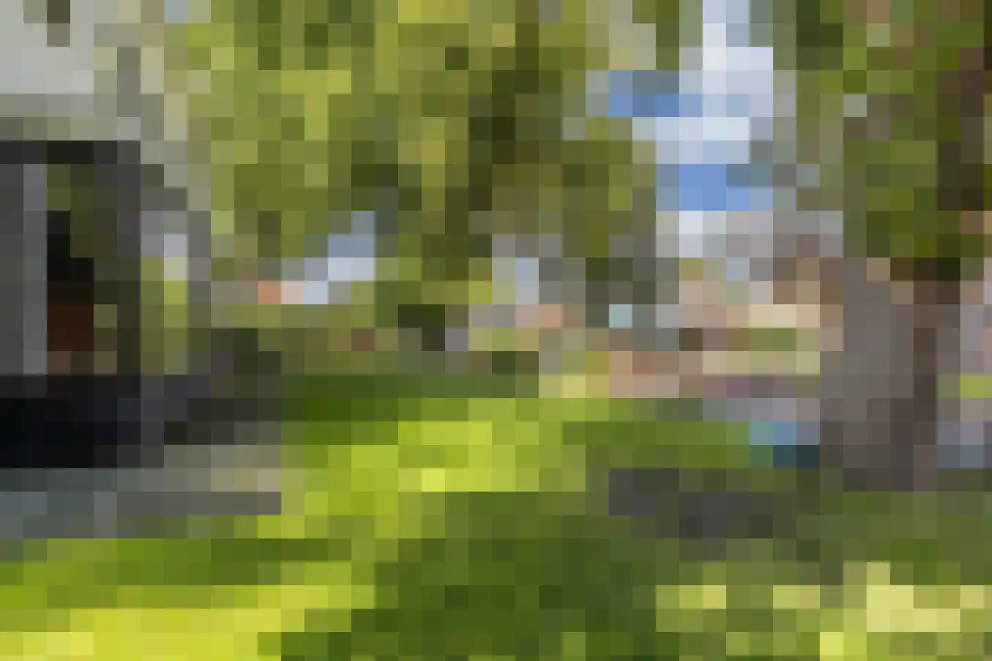Dr.Mulderstraat 9 Noordwolde thumbnail 45