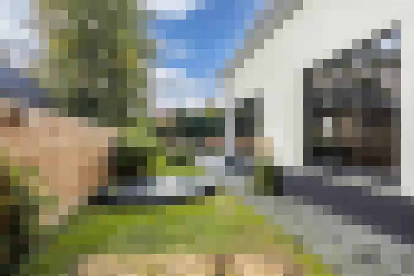 Dr.Mulderstraat 9 Noordwolde thumbnail 46
