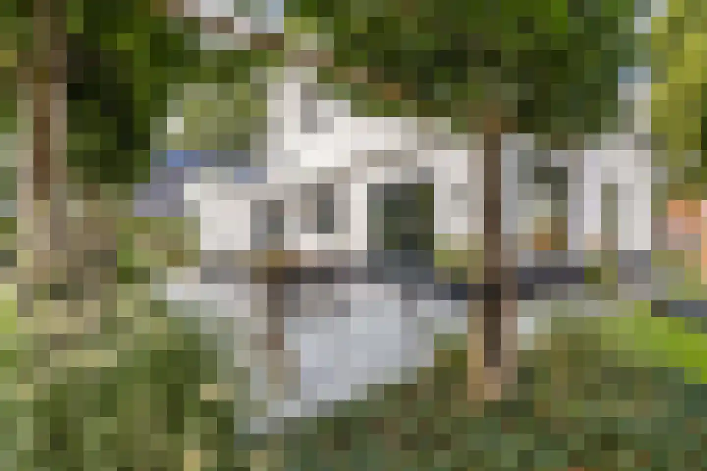 Dr.Mulderstraat 9 Noordwolde thumbnail 48