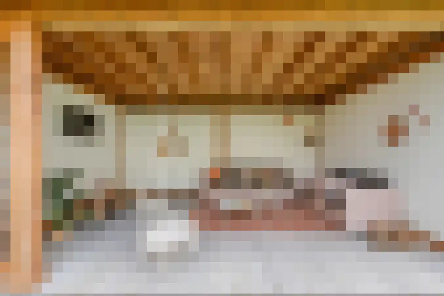 Dr.Mulderstraat 9 Noordwolde thumbnail 52