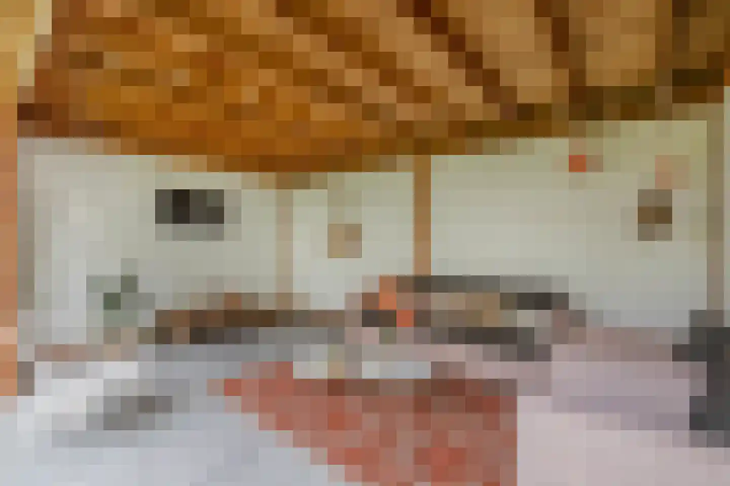 Dr.Mulderstraat 9 Noordwolde thumbnail 53