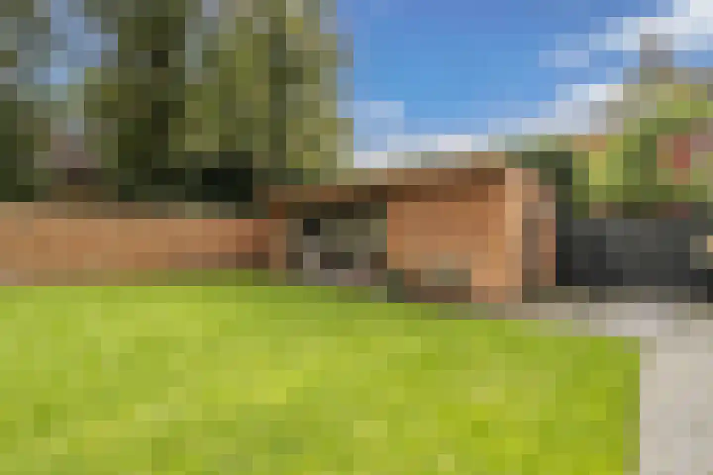 Dr.Mulderstraat 9 Noordwolde thumbnail 55