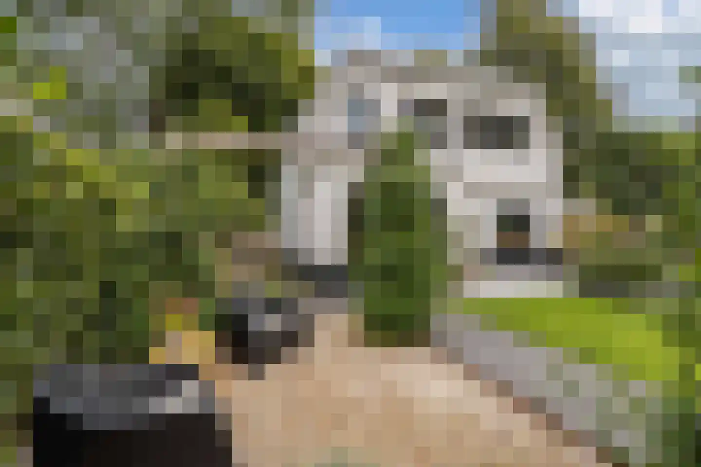 Dr.Mulderstraat 9 Noordwolde thumbnail 58