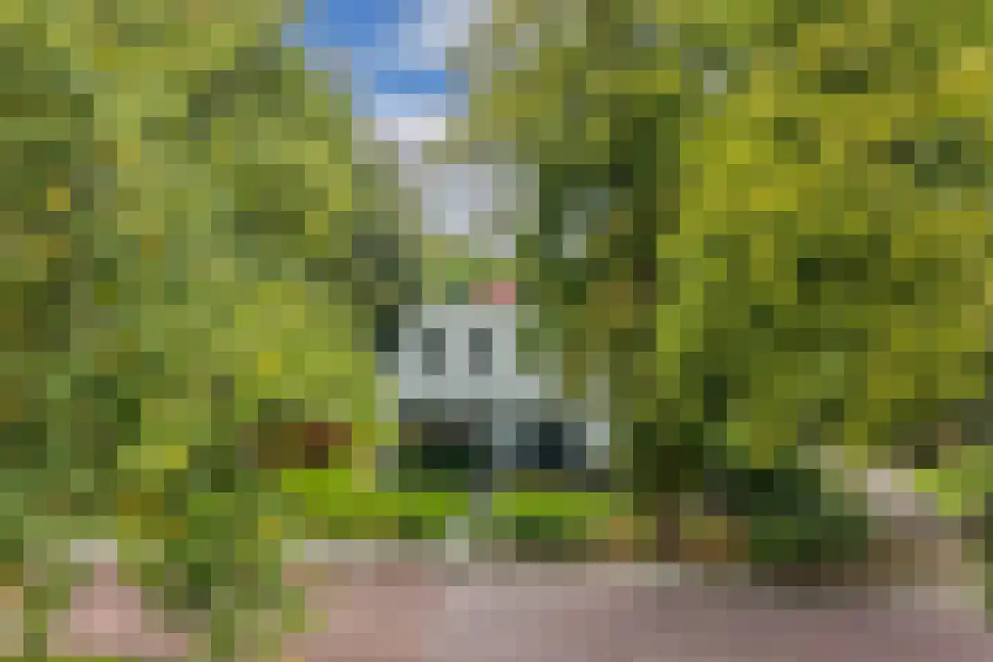 Dr.Mulderstraat 9 Noordwolde thumbnail 6