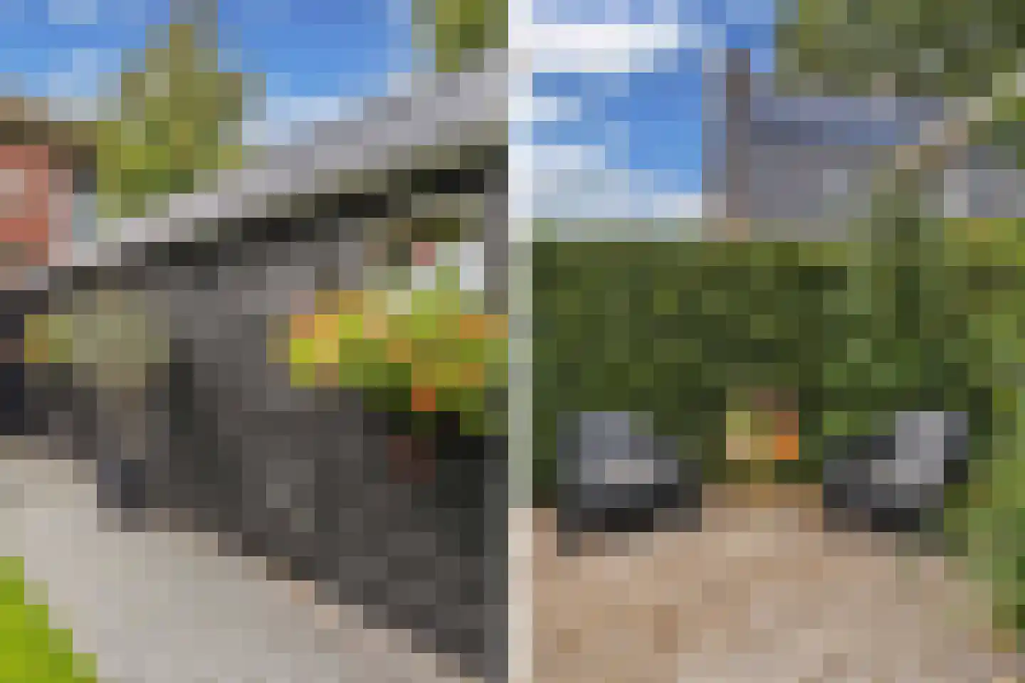 Dr.Mulderstraat 9 Noordwolde thumbnail 60