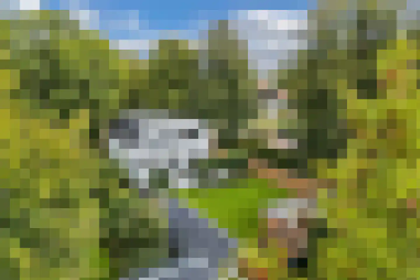 Dr.Mulderstraat 9 Noordwolde thumbnail 64