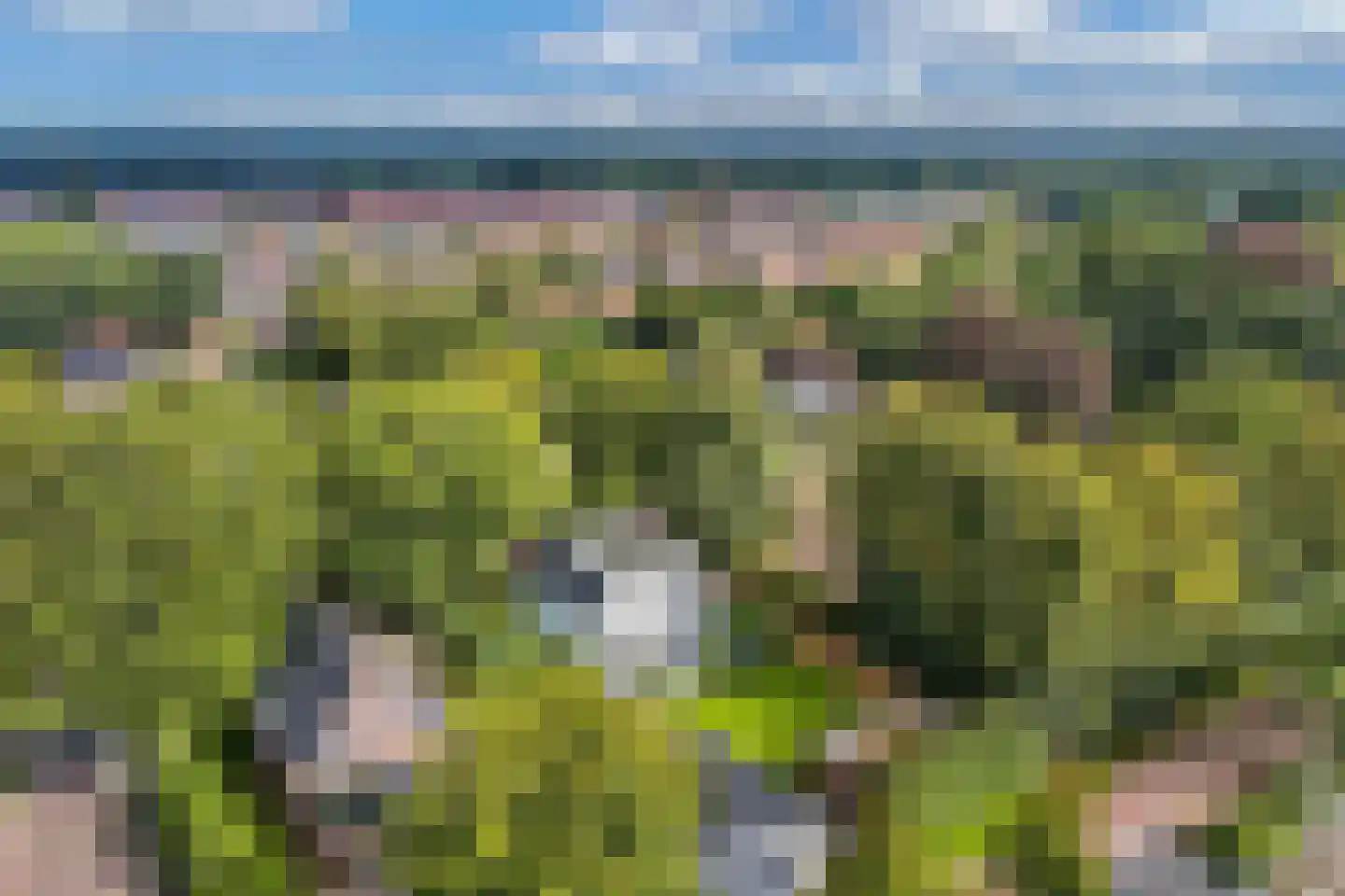 Dr.Mulderstraat 9 Noordwolde thumbnail 65