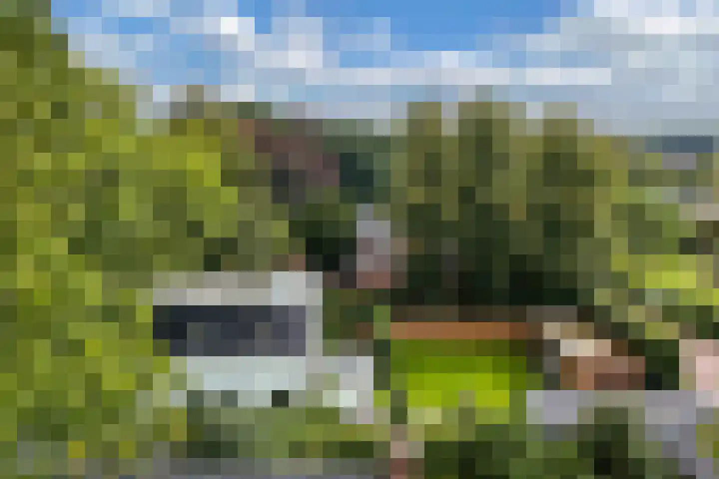 Dr.Mulderstraat 9 Noordwolde thumbnail 66