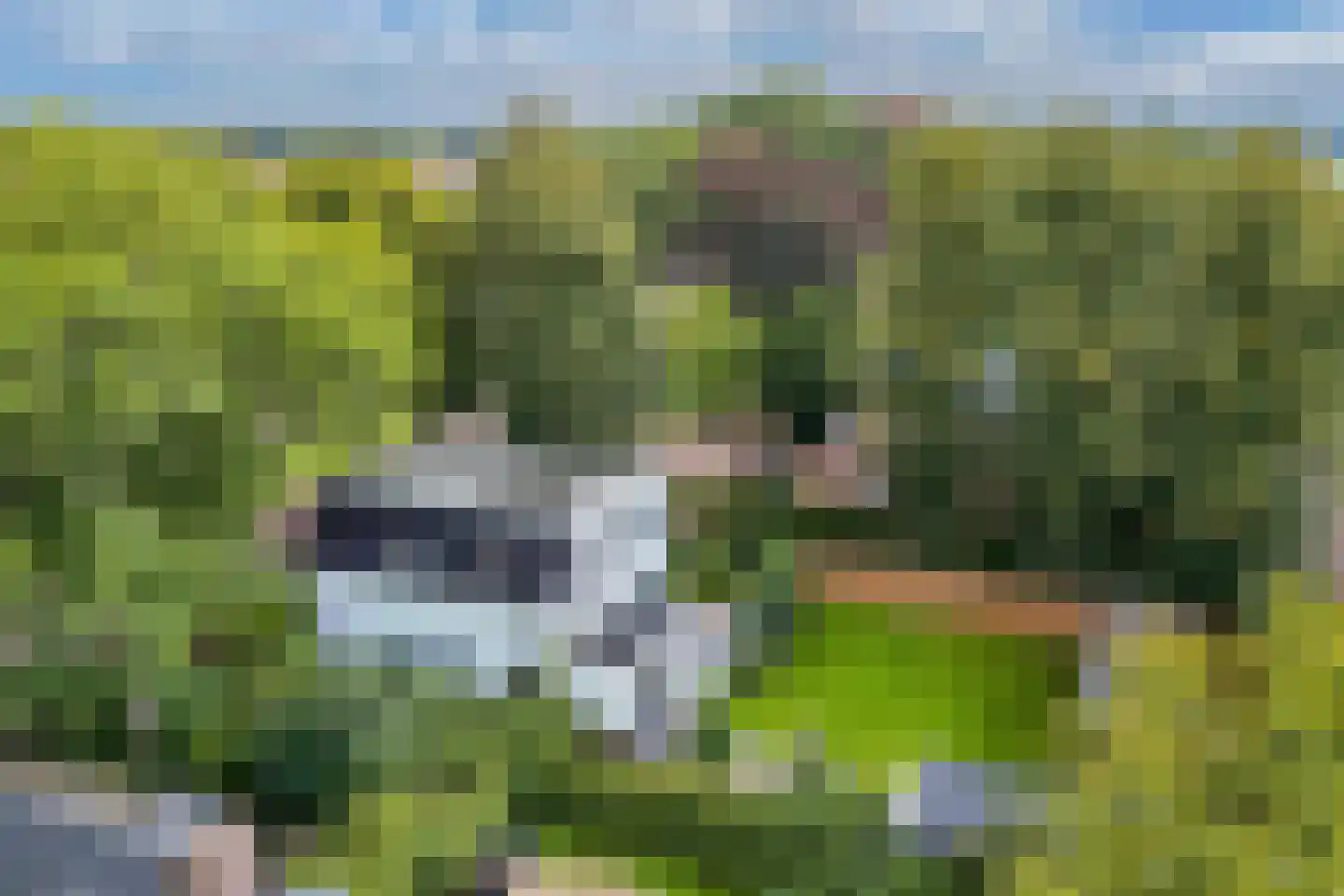 Dr.Mulderstraat 9 Noordwolde thumbnail 67