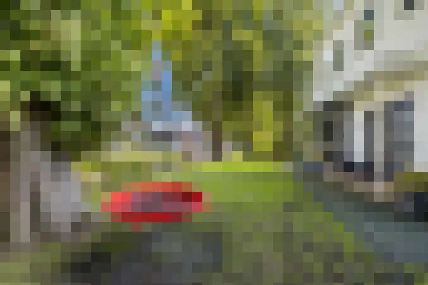 Dr.Mulderstraat 9 Noordwolde thumbnail 69
